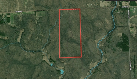 75-acre parcel in the heart of Clark County Wisconsin - image 5
