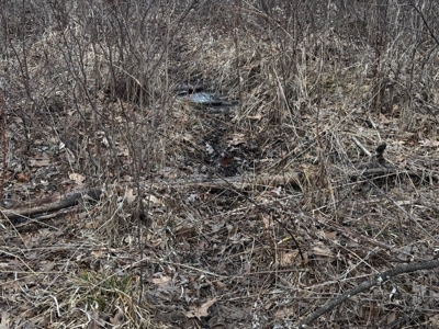 75-acre parcel in the heart of Clark County Wisconsin - image 7