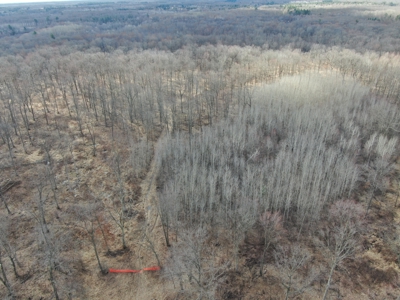 75-acre parcel in the heart of Clark County Wisconsin - image 1