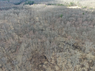 75-acre parcel in the heart of Clark County Wisconsin - image 42