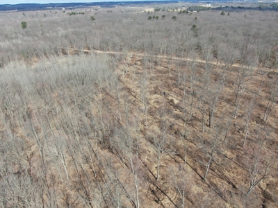 75-acre parcel in the heart of Clark County Wisconsin - image 38