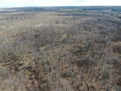 75-acre parcel in the heart of Clark County Wisconsin - image 46