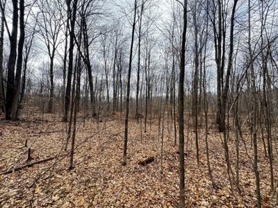 75-acre parcel in the heart of Clark County Wisconsin - image 25