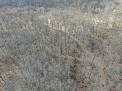75-acre parcel in the heart of Clark County Wisconsin - image 11