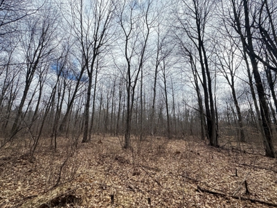 75-acre parcel in the heart of Clark County Wisconsin - image 24
