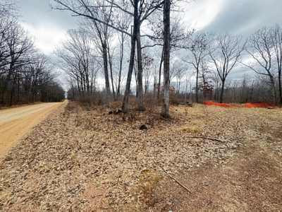 75-acre parcel in the heart of Clark County Wisconsin - image 3