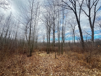 75-acre parcel in the heart of Clark County Wisconsin - image 22