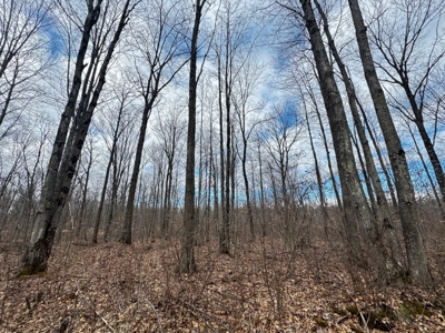 75-acre parcel in the heart of Clark County Wisconsin - image 21