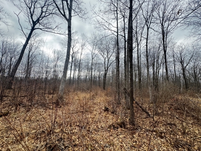 75-acre parcel in the heart of Clark County Wisconsin - image 19