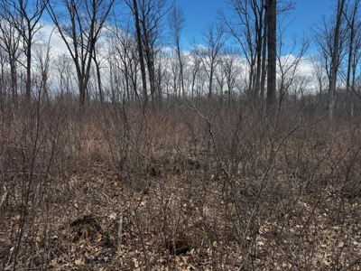 75-acre parcel in the heart of Clark County Wisconsin - image 29