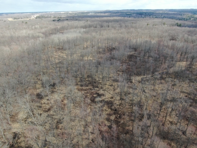 75-acre parcel in the heart of Clark County Wisconsin - image 12