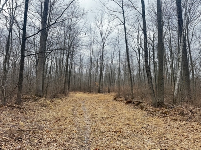 75-acre parcel in the heart of Clark County Wisconsin - image 14