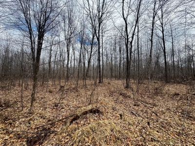 75-acre parcel in the heart of Clark County Wisconsin - image 26