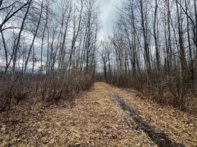 75-acre parcel in the heart of Clark County Wisconsin - image 15