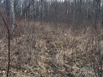 75-acre parcel in the heart of Clark County Wisconsin - image 31