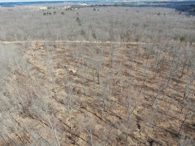 75-acre parcel in the heart of Clark County Wisconsin - image 39