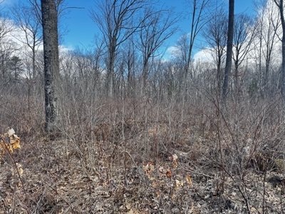 75-acre parcel in the heart of Clark County Wisconsin - image 30