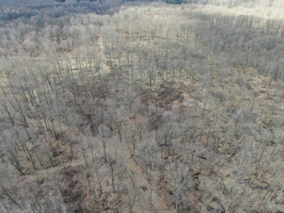 75-acre parcel in the heart of Clark County Wisconsin - image 44