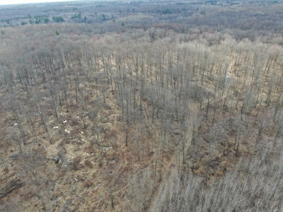 75-acre parcel in the heart of Clark County Wisconsin - image 35