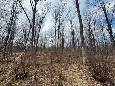 75-acre parcel in the heart of Clark County Wisconsin - image 16