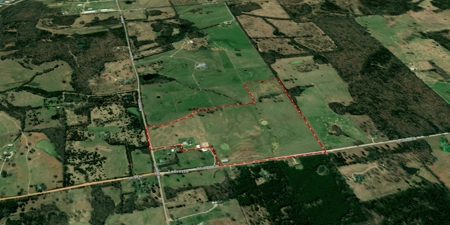 Farm And Custom Home For Sale In North Central Arkansas - image 1