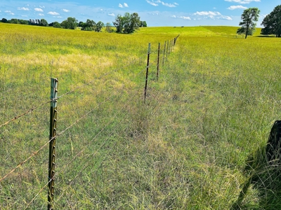 Farm And Custom Home For Sale In North Central Arkansas - image 12