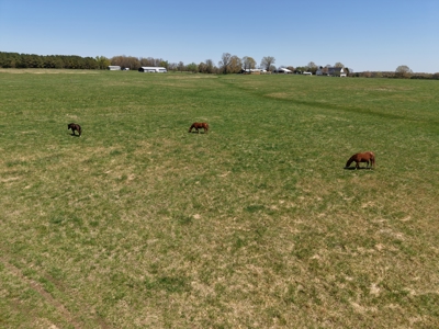Farm And Custom Home For Sale In North Central Arkansas - image 39