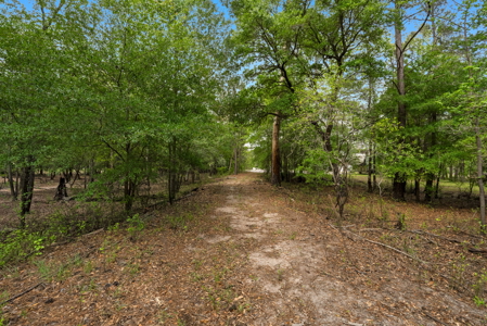 Lot For Sale on the Waccamaw River - Horry County SC - image 25