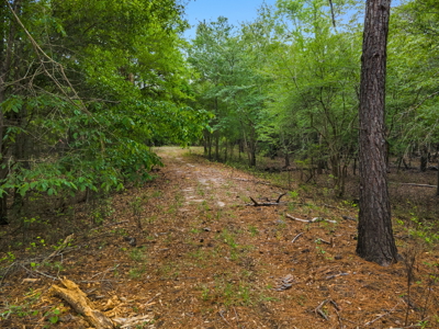 Lot For Sale on the Waccamaw River - Horry County SC - image 23