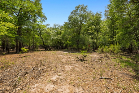Lot For Sale on the Waccamaw River - Horry County SC - image 6