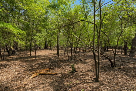 Lot For Sale on the Waccamaw River - Horry County SC - image 14
