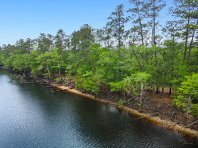 Lot For Sale on the Waccamaw River - Horry County SC - image 42