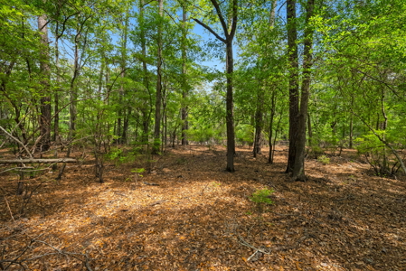 Lot For Sale on the Waccamaw River - Horry County SC - image 12