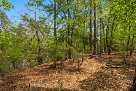 Lot For Sale on the Waccamaw River - Horry County SC - image 13