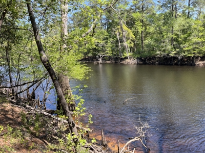 Lot For Sale on the Waccamaw River - Horry County SC - image 4
