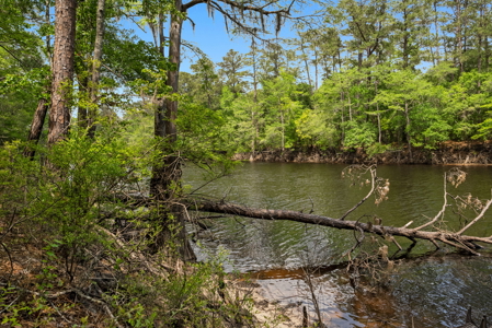 Lot For Sale on the Waccamaw River - Horry County SC - image 16