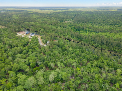 Lot For Sale on the Waccamaw River - Horry County SC - image 39