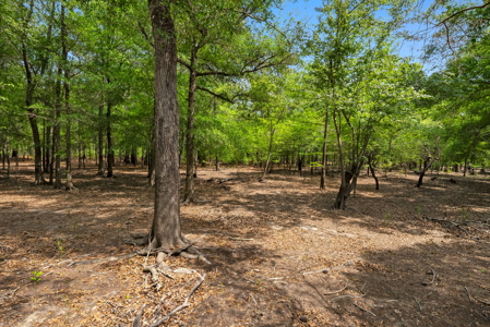Lot For Sale on the Waccamaw River - Horry County SC - image 11