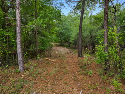 Lot For Sale on the Waccamaw River - Horry County SC - image 22