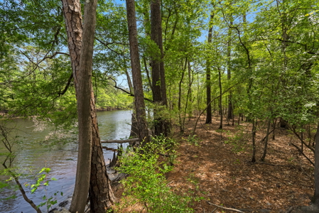 Lot For Sale on the Waccamaw River - Horry County SC - image 17