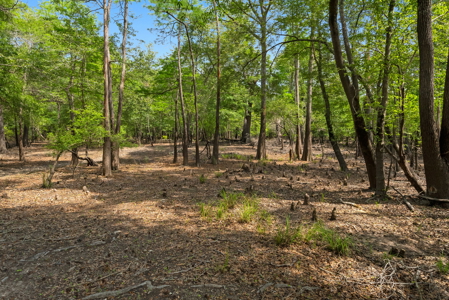 Lot For Sale on the Waccamaw River - Horry County SC - image 8
