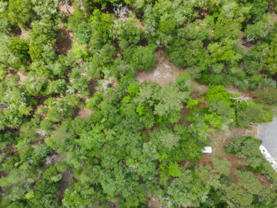Lot For Sale on the Waccamaw River - Horry County SC - image 47