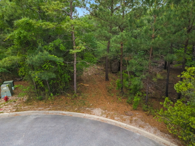 Lot For Sale on the Waccamaw River - Horry County SC - image 21