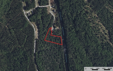 Lot For Sale on the Waccamaw River - Horry County SC - image 2