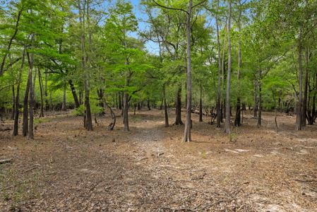 Lot For Sale on the Waccamaw River - Horry County SC - image 18