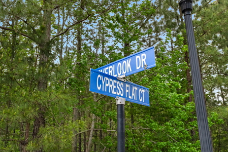 Lot For Sale on the Waccamaw River - Horry County SC - image 20