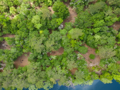 Lot For Sale on the Waccamaw River - Horry County SC - image 48