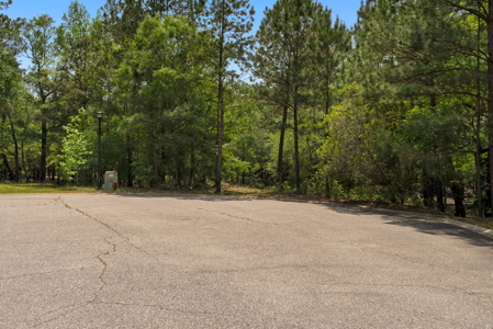 Lot For Sale on the Waccamaw River - Horry County SC - image 9