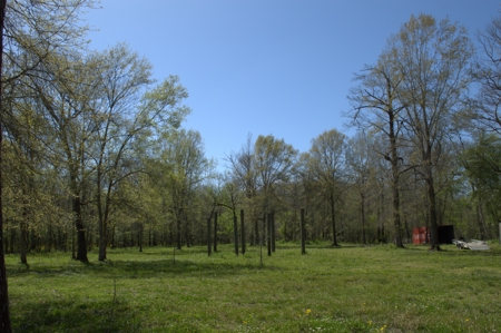 15 Acres of Prime Atchafalaya Basin Hunting Land – Butte La Rose - image 14