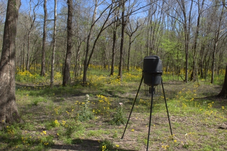 15 Acres of Prime Atchafalaya Basin Hunting Land – Butte La Rose - image 36